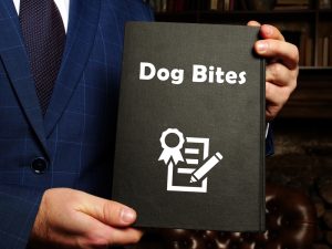 3-13-25-dog-bite-book-300x225